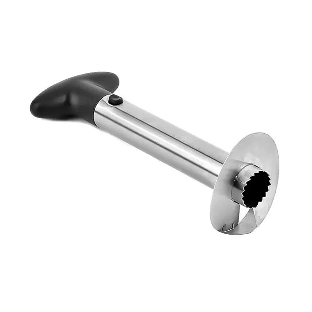 Spot roestvrijstalen ananassch - Kitchen Gadgets Hacks recensie en prijs