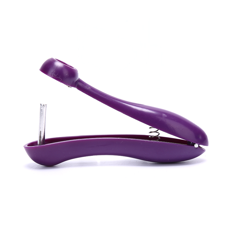 Gemakkelijke kersen- en olijfp - Kitchen Gadgets Xmas Gifts recensie en prijs