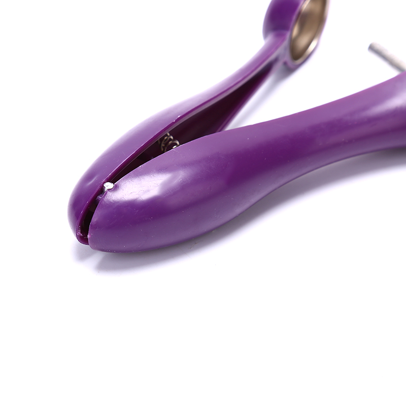 Gemakkelijke kersen- en olijfp - Kitchen Gadgets Xmas Gifts recensie en prijs