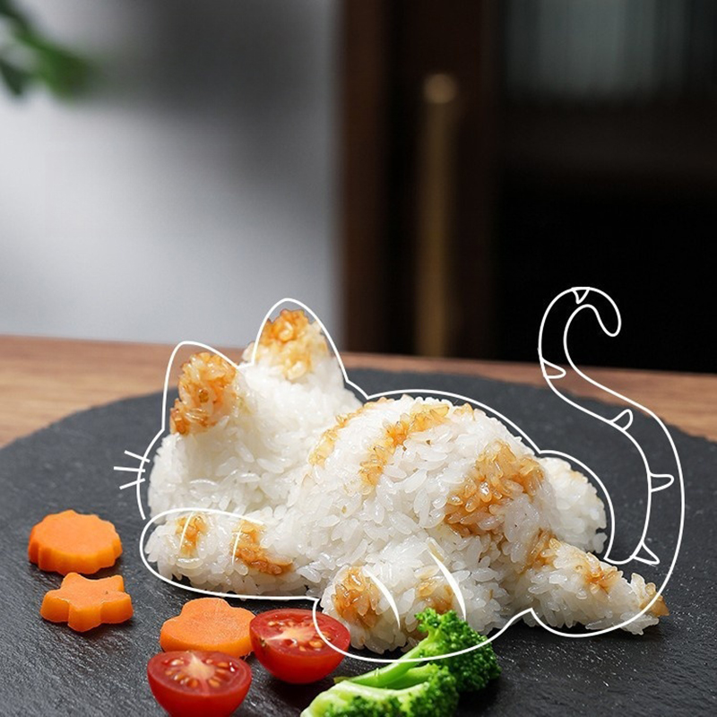 【Nieuw】Leuke Sushi Tools Onigi - Kitchen Gadgets Kids recensie en prijs
